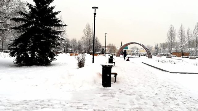 Snow flakes on the branches, walk in Moscow