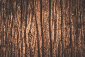 Wood texture background