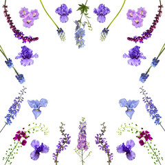 Flowers violet frame collection isolated on white background. Gentle composition with delphinium, iris, wild grass curved shape, muscari. Place for text and greetings. Flat lay, top view