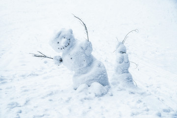 Snowmans at snowy country