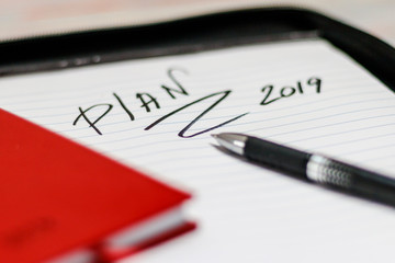 diaries, red skin, stationery. Diary for the year 2019. Ballpoint pen in black. outline word lettering. have toning. shallow depth of field