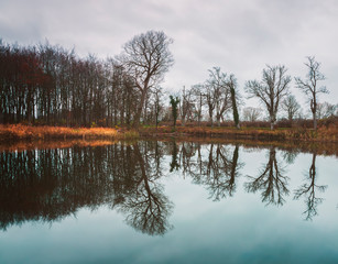 Tree reflections in lake