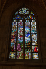 Stained glass window of the new Cathedral in Linz