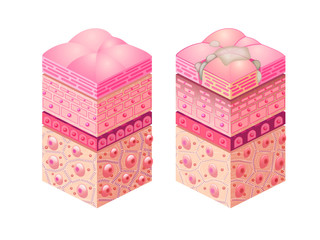 皮脂で汚れた肌表面のイメージ