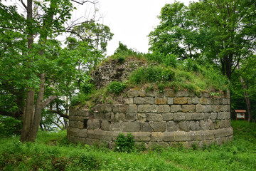 Die Burg Anhalt im Harz ist eine mittelalterliche Burgruine