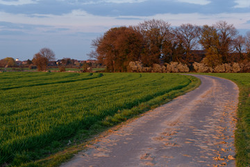 am Niederrhein