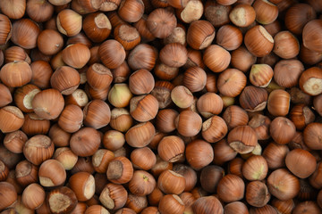 Textured background of hazelnut in its natural form