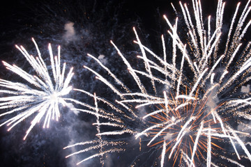 great fireworks show. bright colored explosions in the night sky.