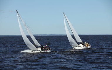 regatta racing sailing yachts in the sea