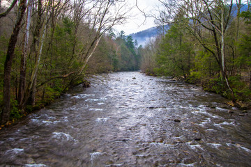 Misty Mountain River Background. River rushing through the Great Smoky Mountains National Park as mist rises from the mountain stream in the background.