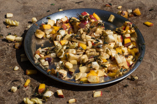 Obstteller mit Vespen und Fliegen