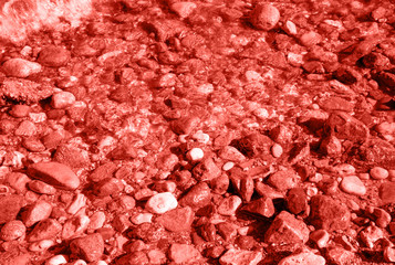 Sea stones, background, toning in Living Coral color of the Year 2019