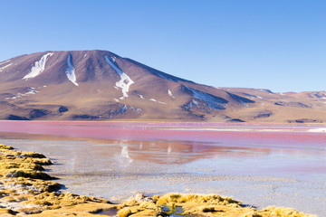 Laguna Colorada view, Bolivia