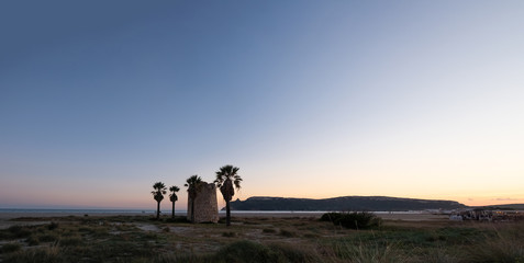 super panorama of the main beach of Cagliari (poetto sella del diavolo) with spanish old tower and palm tree at sunset - Sardinia.