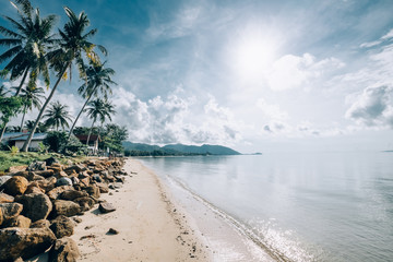 Tropical landscape at sunrise.