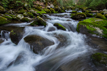 Rushing Smoky Mountains Stream. River rushes through the scenic lush green landscapes of the Great Smoky Mountains National Park in Gatlinburg, Tennessee.