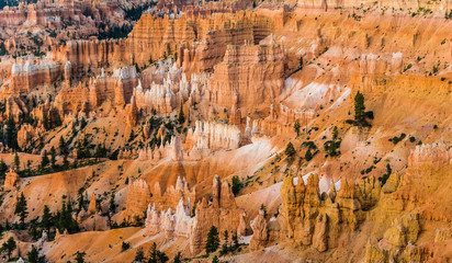 beautiful landscape in Bryce Canyon with magnificent Stone formation