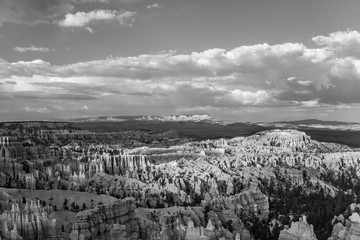 beautiful landscape in Bryce Canyon