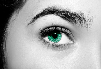 A beautiful insightful look woman's eye. Close up shot.