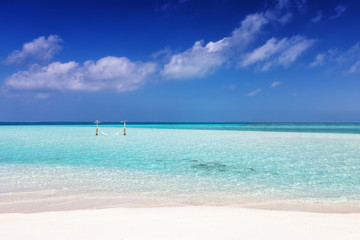 Fototapeta na wymiar Tropischer Paradiesstrand mit Hängematte im türkisem Wasser und feinem Sand unter tiefblauem Himmel 