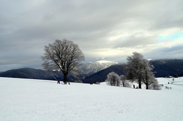 Winter auf dem Schauinsland