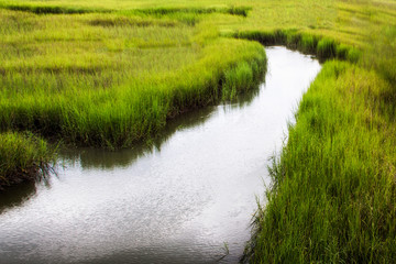 salt marsh at Shem Creek in Mount Pleasant South Carolina