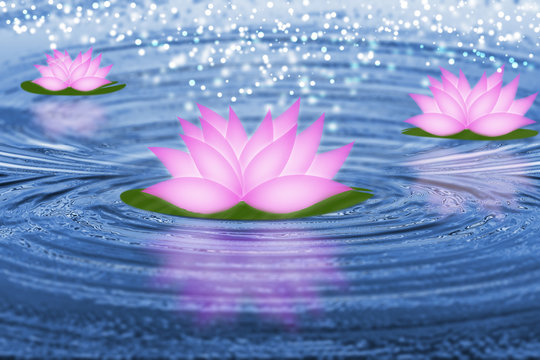 Lotus flower, water ripple; fantasy concept; calm concept