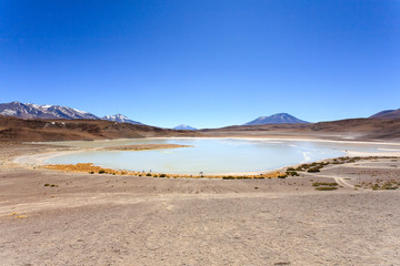 Laguna Honda view, Bolivia