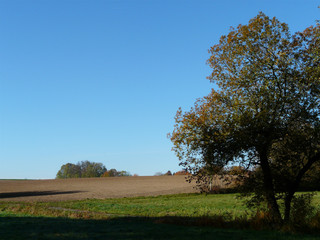 Obraz premium Hügelland