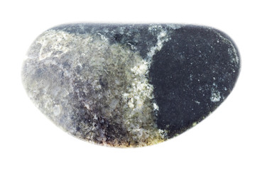 tumbled Olivinite (Dunite) stone on white