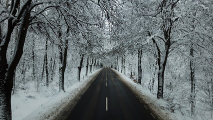 snow white fluff winter all snowed road forest nature © DEM