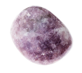 tumbled Lepidolite mica stone on white