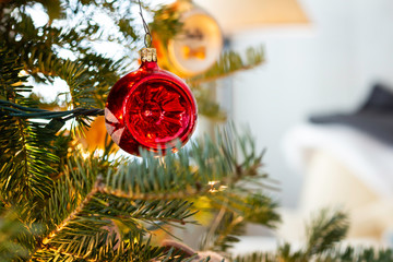 Red Christmas Ornament on a Tree