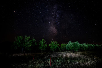 Naklejka premium Campo de estrellas