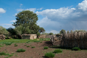 Mongolian oasis