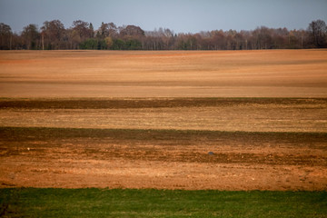 Obraz premium Plowed field in spring season.
