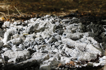 Pile of ashes after the fire went out. 