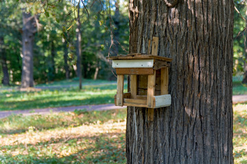 forest bird feeders
