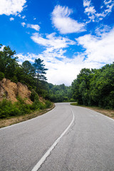 Empty highway road in the forest.