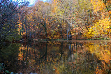 seven Lakes National Park, Autumn, Turkey