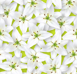 Seamless floral pattern. Chaotic arrangement of flowers. White lily flower on a light green background.