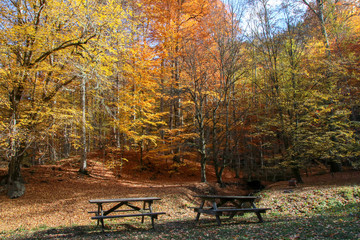 seven Lakes National Park, Autumn, Turkey