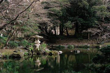 Fototapeta na wymiar Japan Temple