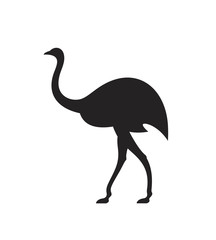 Ostrich silhouette. Isolated ostrich on white background