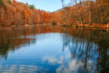 seven Lakes National Park, Autumn, Turkey