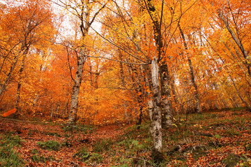 Fototapeta premium seven Lakes National Park, Autumn, Turkey