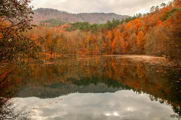 seven Lakes National Park, Autumn, Turkey