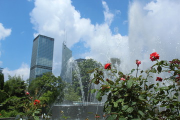 Nature and Structure