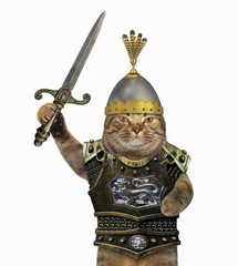 The cat knight in a helmet with a feather and a cuirass holds a sword. White background.