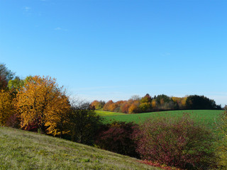 Naklejka premium Herbstlandschaft